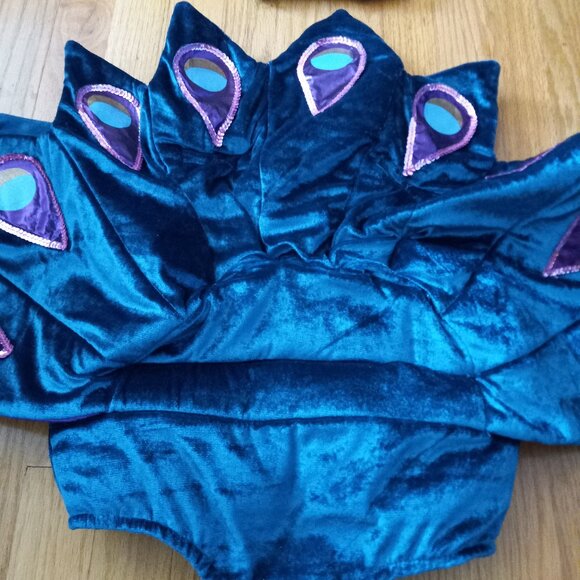 Peacock Baby Costume 6-12 Month - Halloween Animal Bird Costume Party Photos - Picture 8 of 16